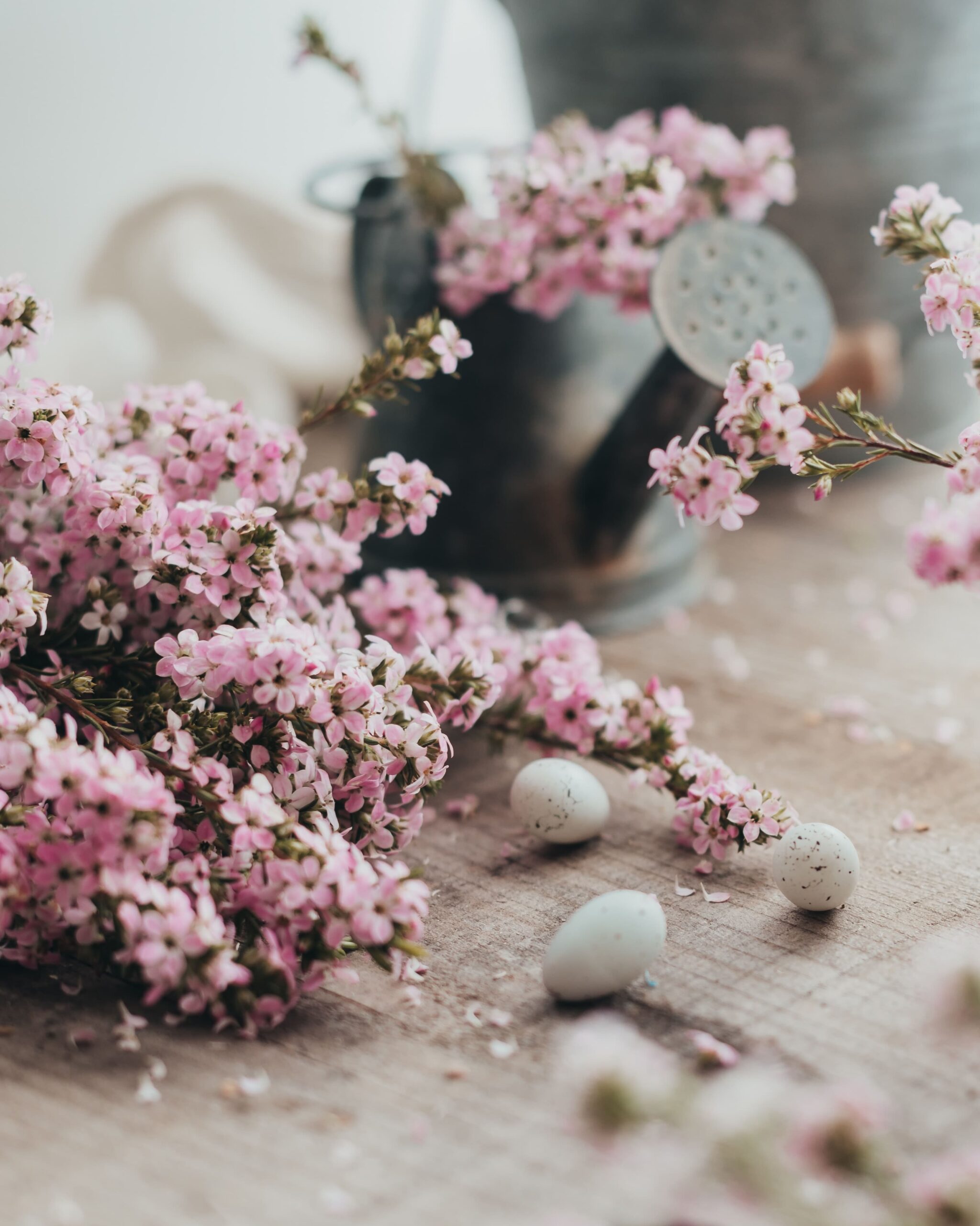 Popular Easter Flowers and what they Symbolize