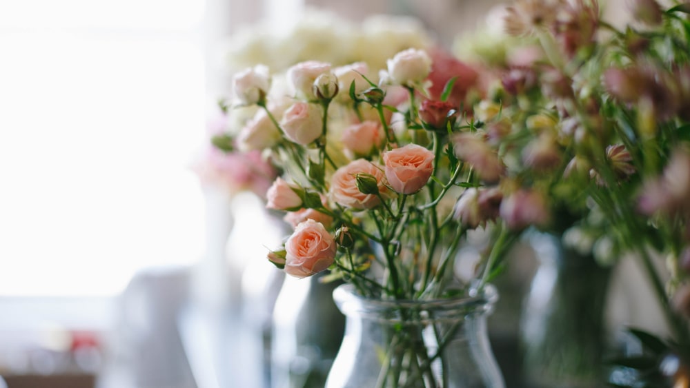 How to Extend the Vase Life of Cut Flowers