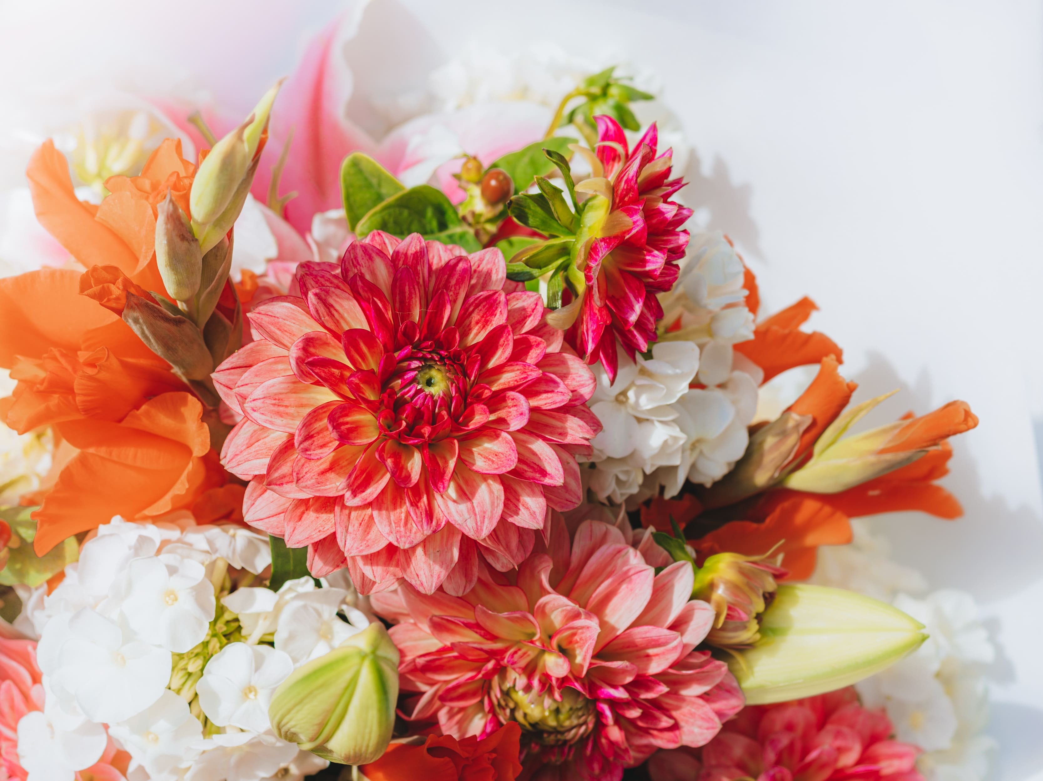 Sarasota Florist Local Flower Delivery | Venice Florist | Blossmcart