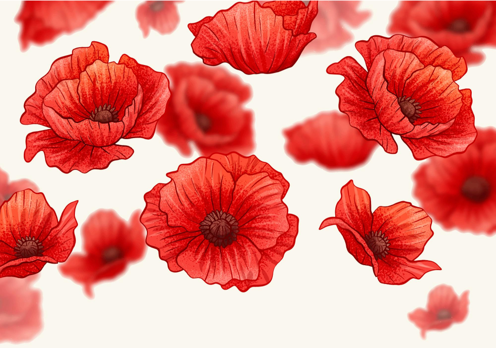 The Emblem of Remembrance: Memorial Day Poppies