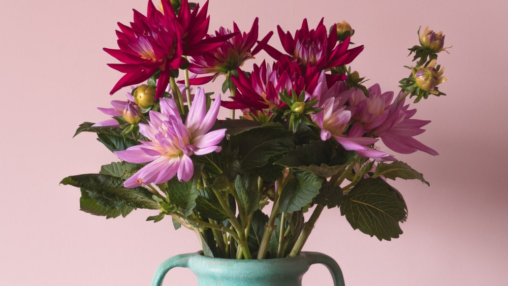 The Lifespan of Blooms: How Long Can Flowers Go Without Water?