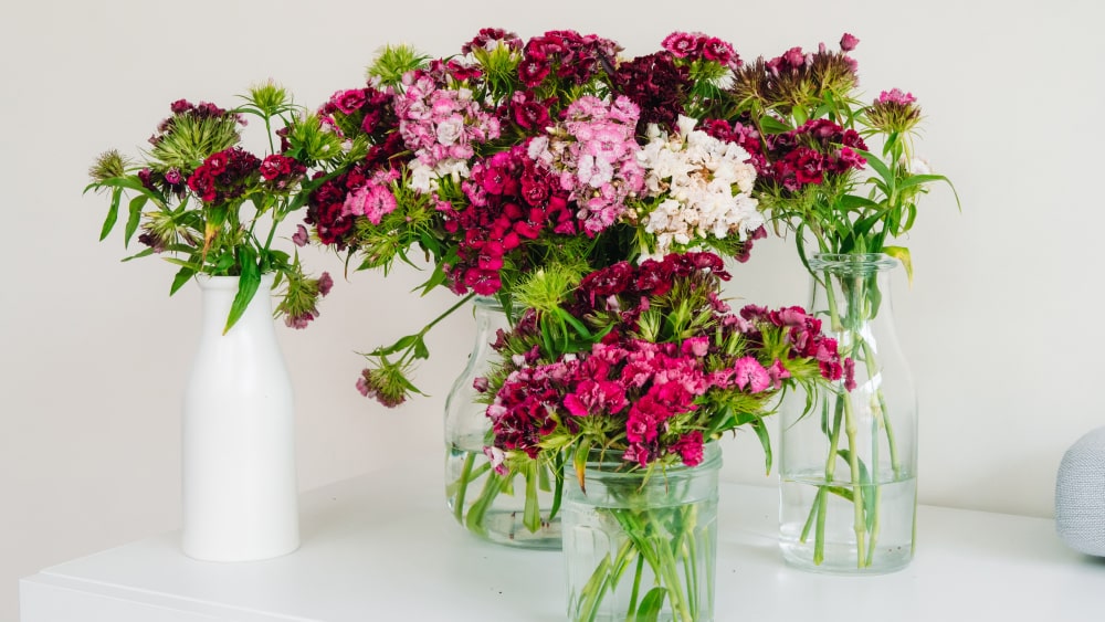 Extending the Life of Your Blooms: What to Put in Water for Flowers